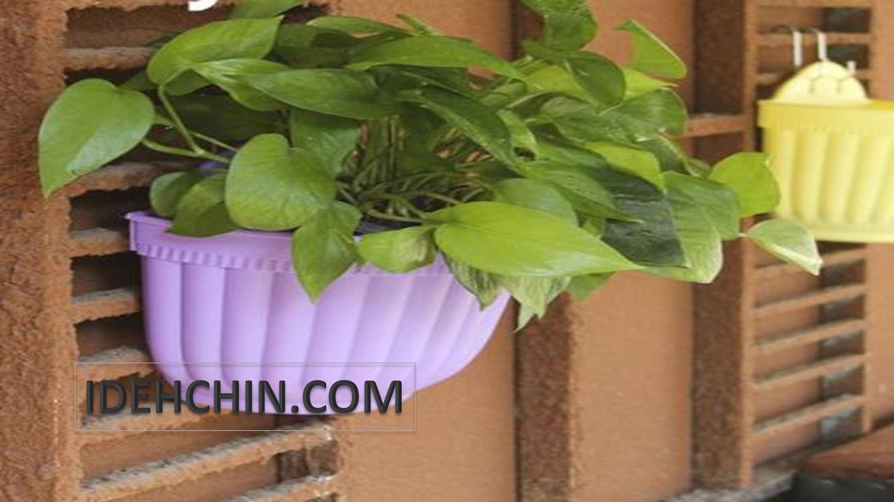 گلدان دیواری پلاستیکی