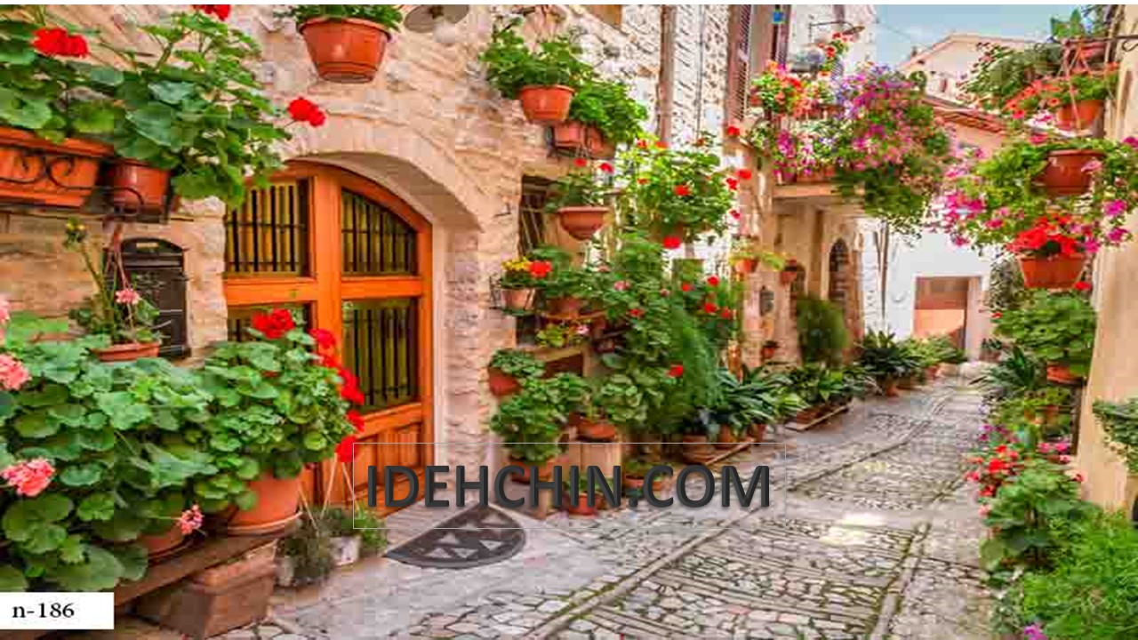 گلدان دبواری ،راهی یرای زیبایی محل زندگی