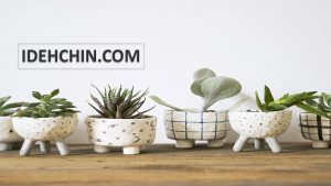 گلدان های سرامیکی