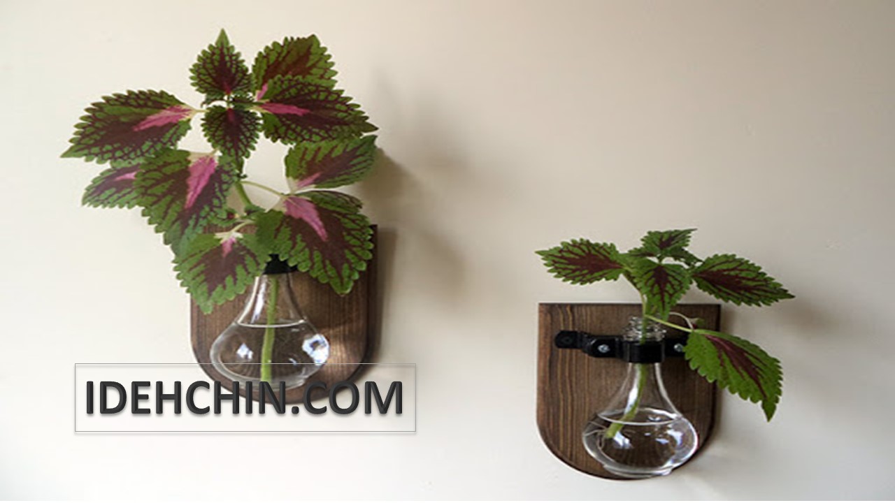 گلدان دبواری شیشه ای