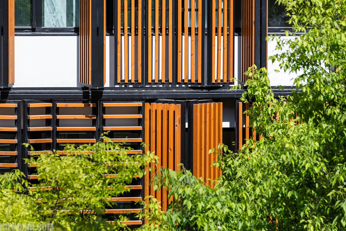 نمای چوبی ساختمان