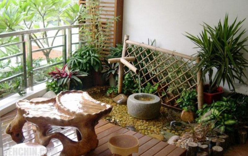 پاسیو و گیاه