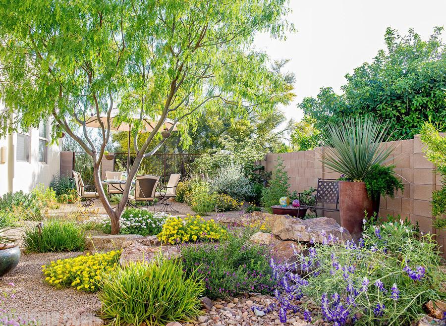 پرگولا چیست