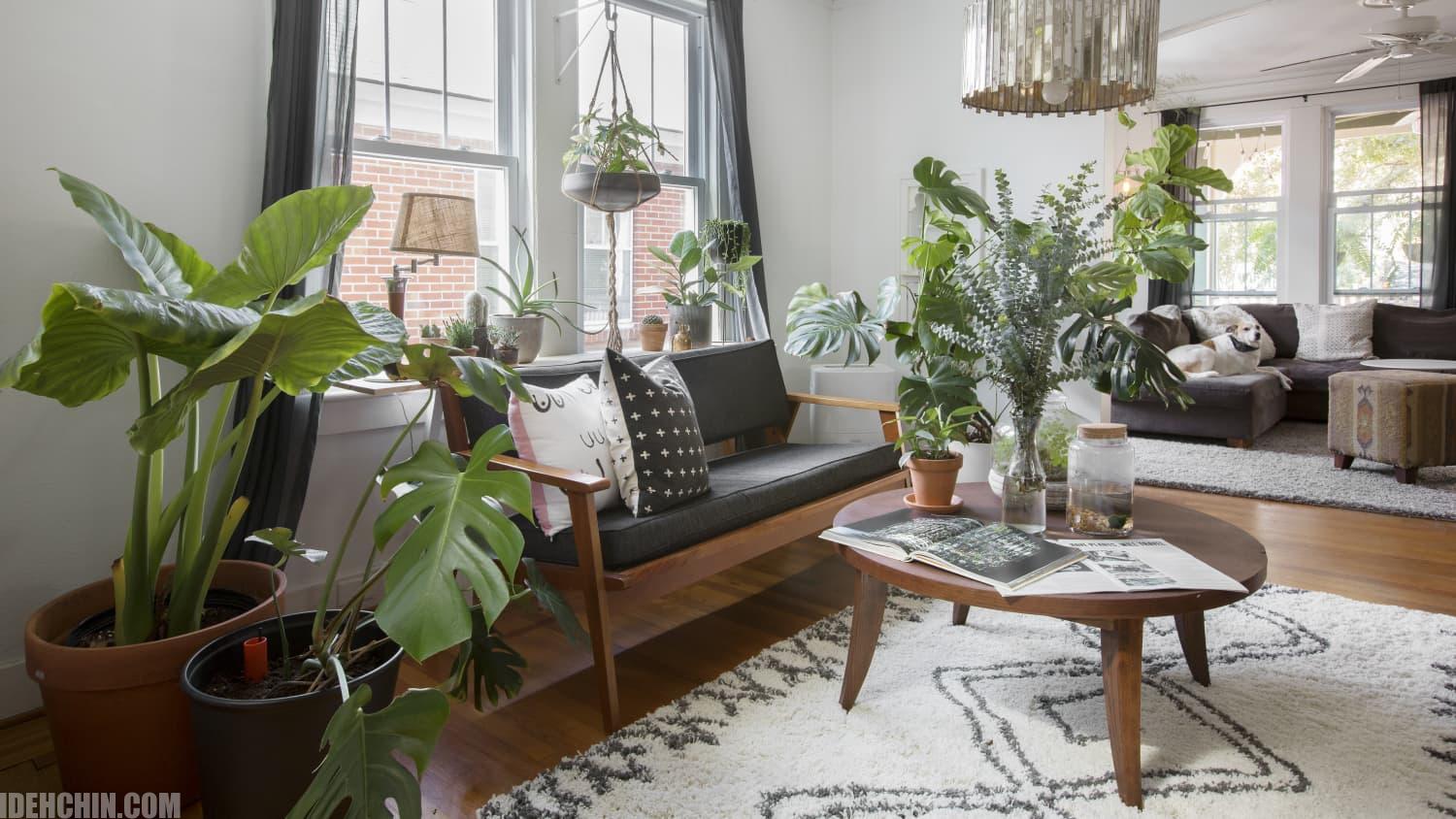 ساخت گلخانه