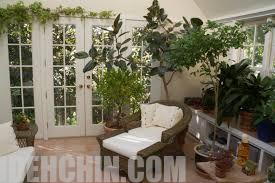 گیاهان خانگی 