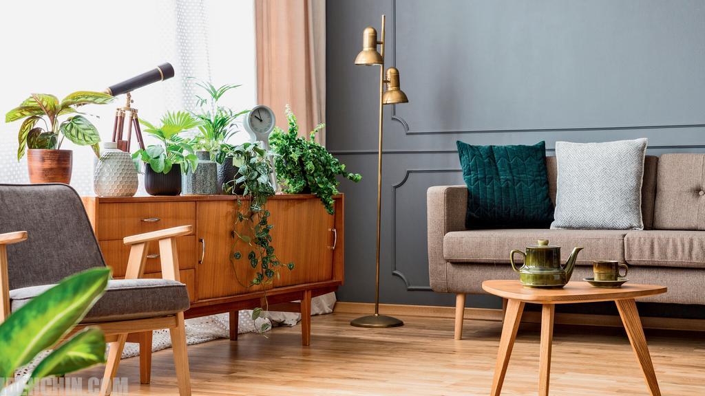 محوطه سازی گلخانه