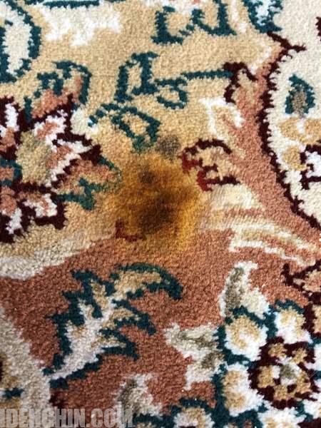 رفع سوختگی فرش