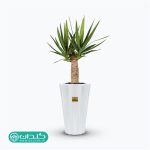 فروشگاه آنلاین گلدان