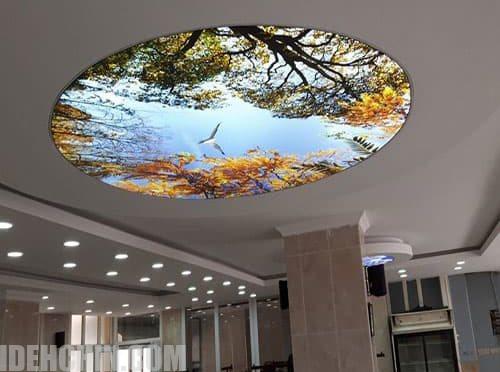 سقف کشسان لابل