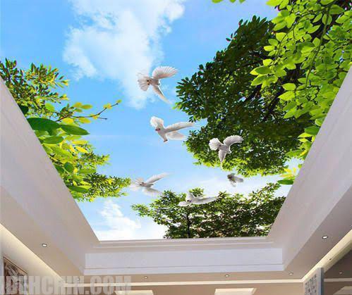 سقف کشسان سرویس بهداشتی