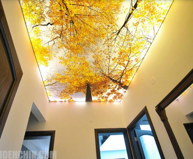 نورپردازی سقف کشسان