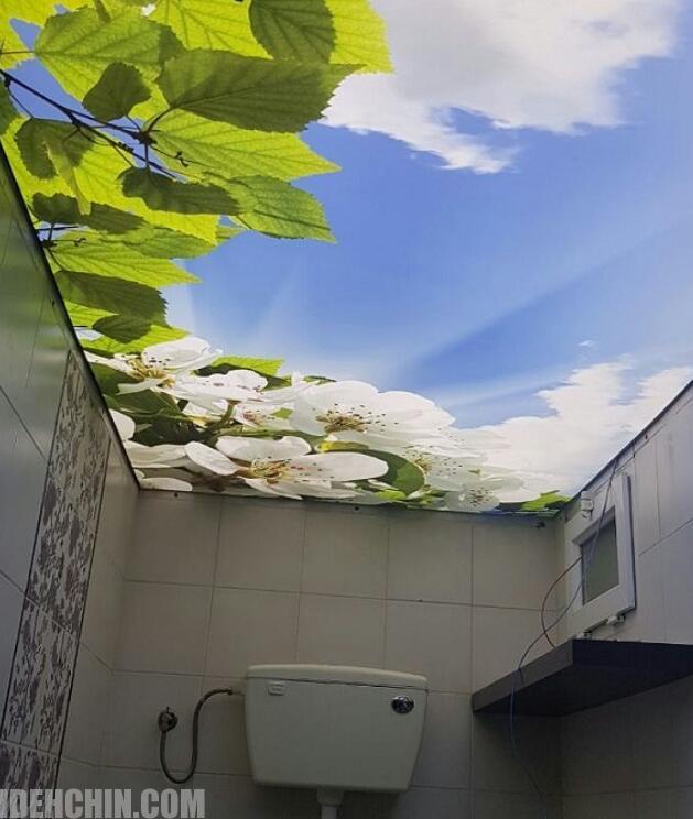 سقف کشسان سرویس بهداشتی