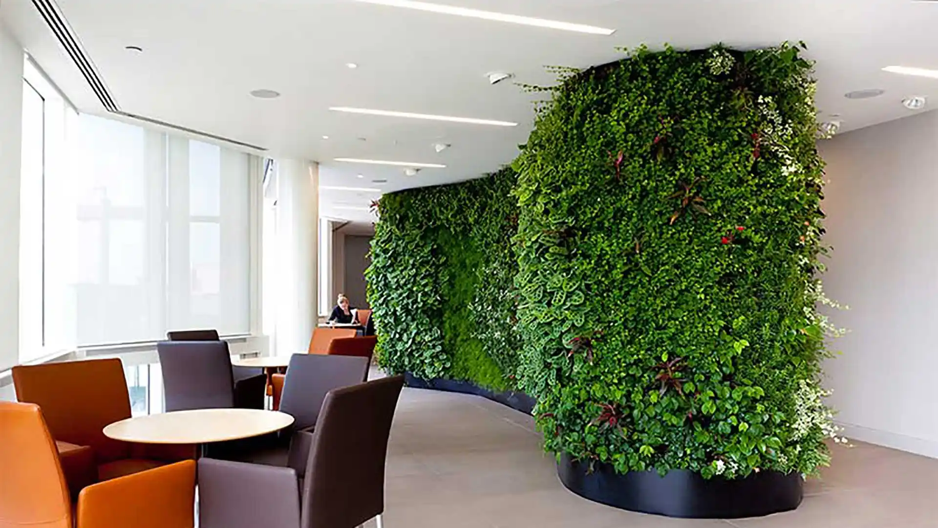 دیوار سبز مستقیم، سبزینگی را به شهر بیاور