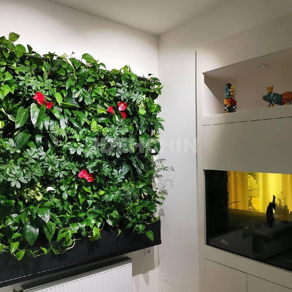 دیوار سبز مستقیم، سبزینگی را به شهر بیاور