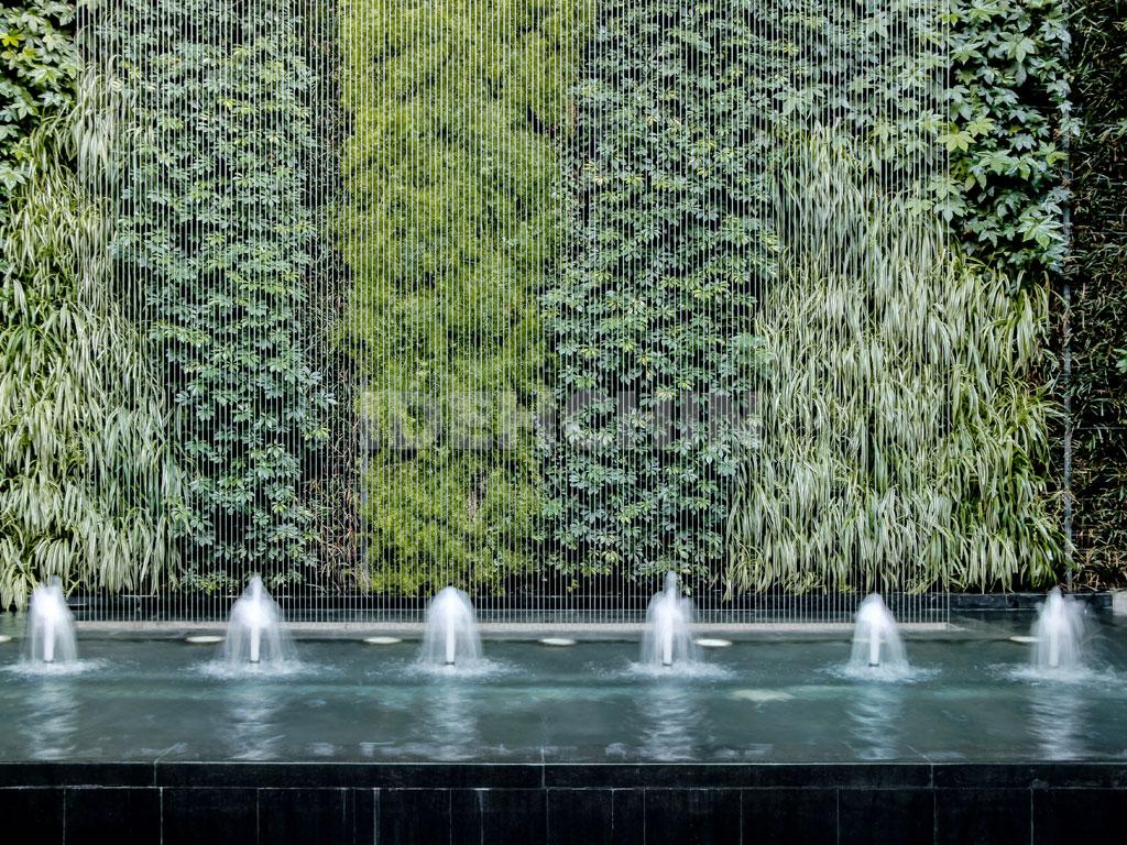 دیوار سبز مستقیم، سبزینگی را به شهر بیاور