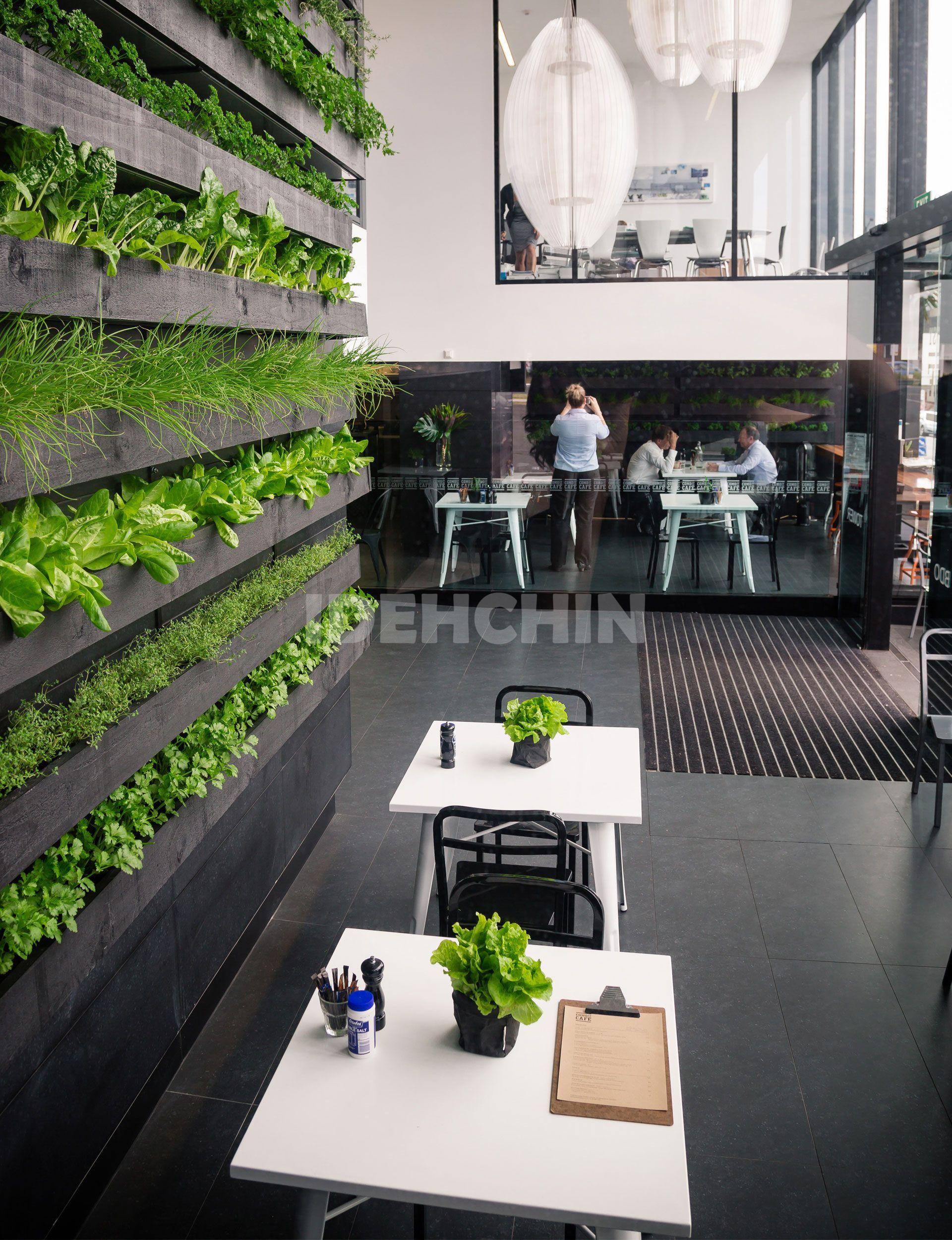 دیوار سبز مستقیم، سبزینگی را به شهر بیاور