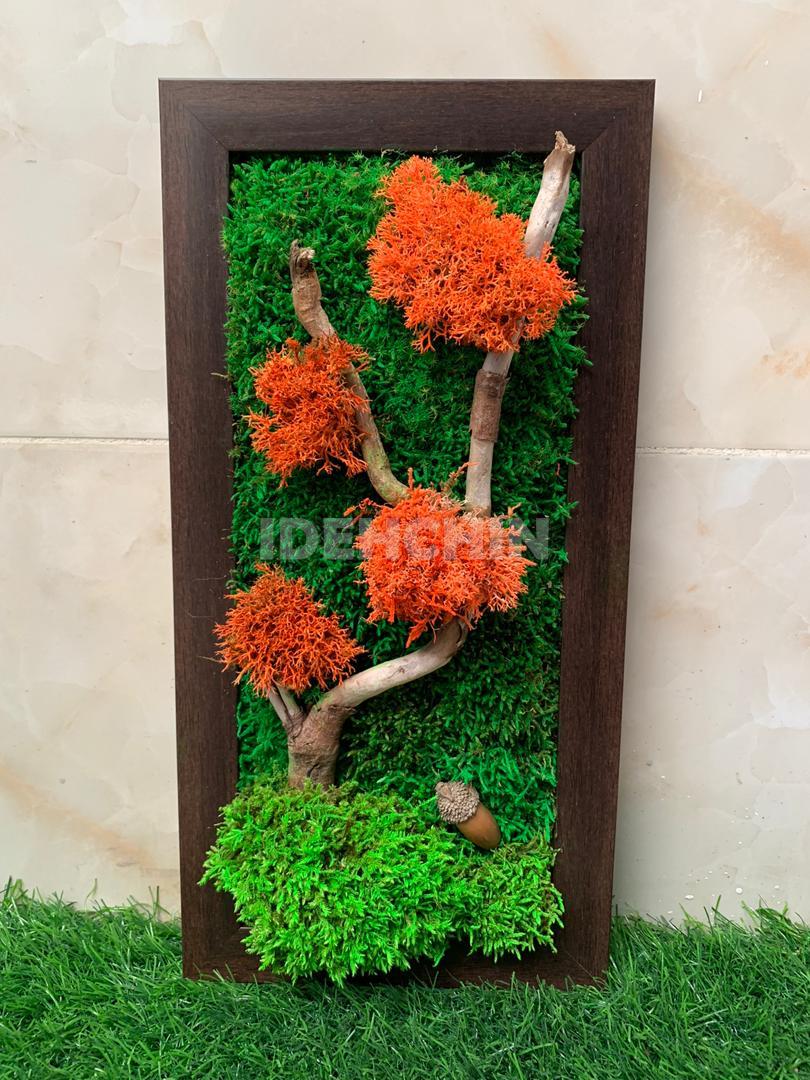 دیوار سبز مستقیم، سبزینگی را به شهر بیاور